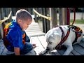An Autistic Boy And His Service Dog