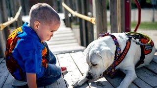 Autistic boy and his service dog