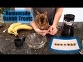 DIY Homemade Treats for Rabbits