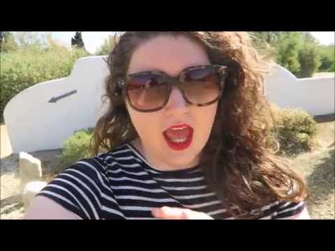 FLAMINGOS AND HORSES - Camargue Ornithology Parc