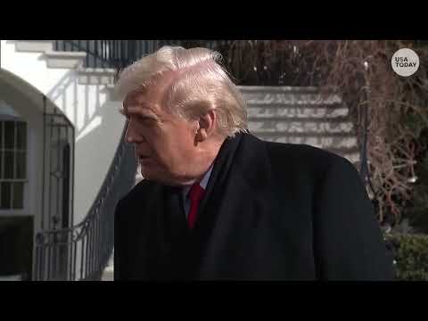 Trump says 'we can't have guns' at protests amid Alex Pretti shooting, ICE in Minneapolis