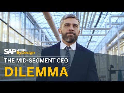 SAP Business ByDesign Overview