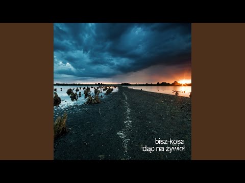 I Przeminę Z Wiatrem