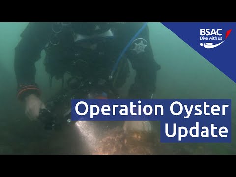 Help our seas - Operation Oyster update | BSAC