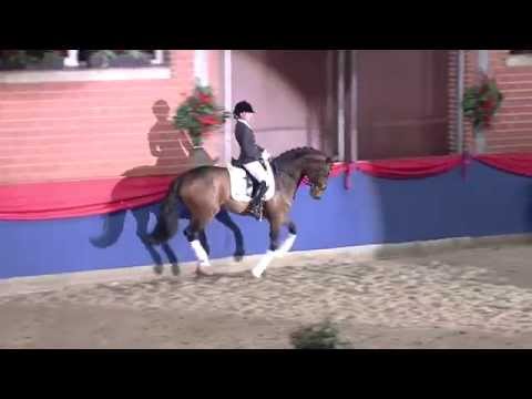 Fiderbach OLD v. Fidertanz - Baroncelli / www.klatte.de