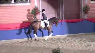 Video di Fiderbach OLD