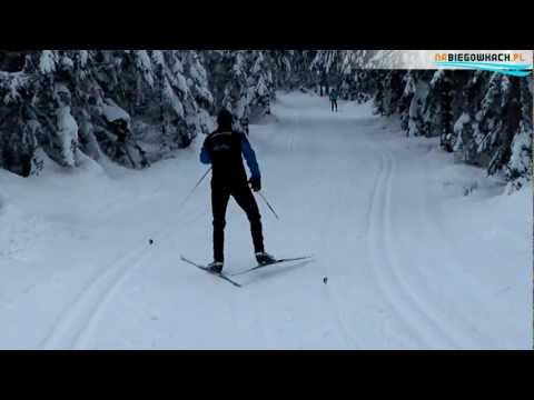 Wirtualny kurs narciarstwa biegowego - technika łyżwowa - jednokrok naprzemianstronny