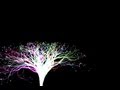 Neon Trees ~ Animal (With Lyrics) 