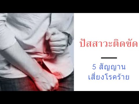 Exciter สำหรับตัวชี้นำการซื้อสาว Priporaty สำหรับความแรง