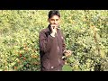 Aaj Ham Jangal Ja Rahe Hai Rajesh Preeti Vlogs Daily Vlogs Lifestyle Vlogs Cute Couple Vlogs