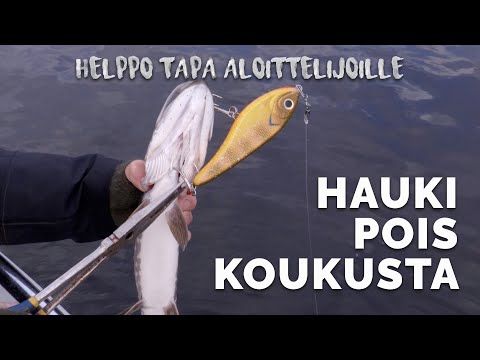 Koukun irrotus kalasta