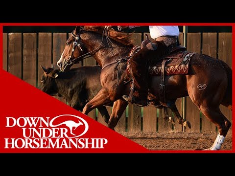 Clinton Anderson: Reined Cow Horses Introduction - Downunder Horsemanship