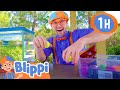 Sink Or Float 1 HOUR BEST OF BLIPPI Full Episodes Educational Videos For Kids Blippi Toys