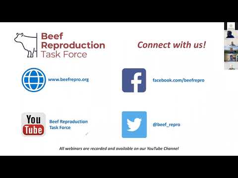 BRTF Q&A - All things bovine reproduction