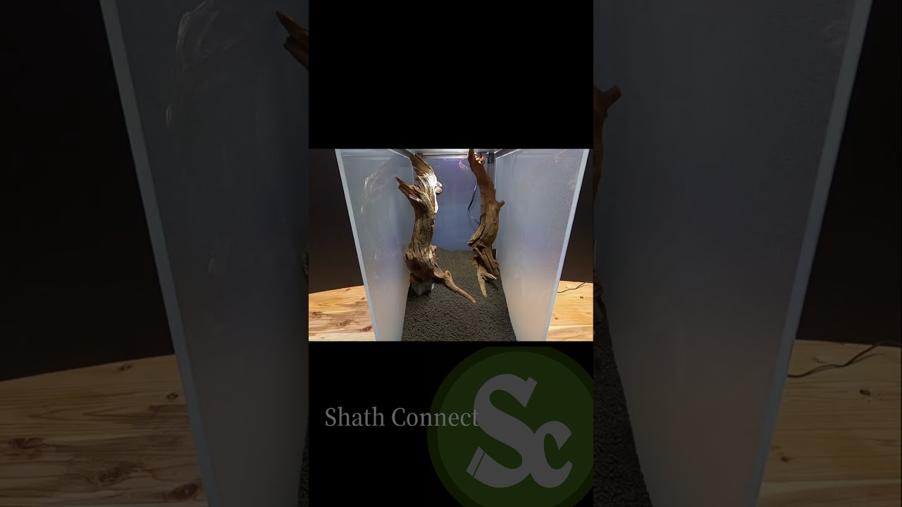 雨の森をつくる #Shorts