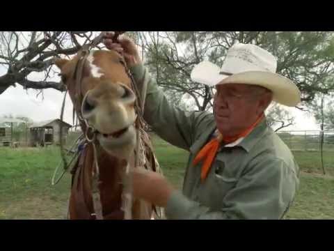 Vaqueros: Pioneering the Texas Ranch