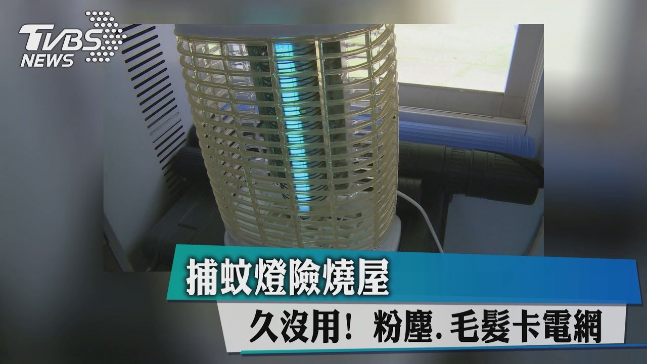 久沒用!粉塵、毛髮卡電網 捕蚊燈險燒屋