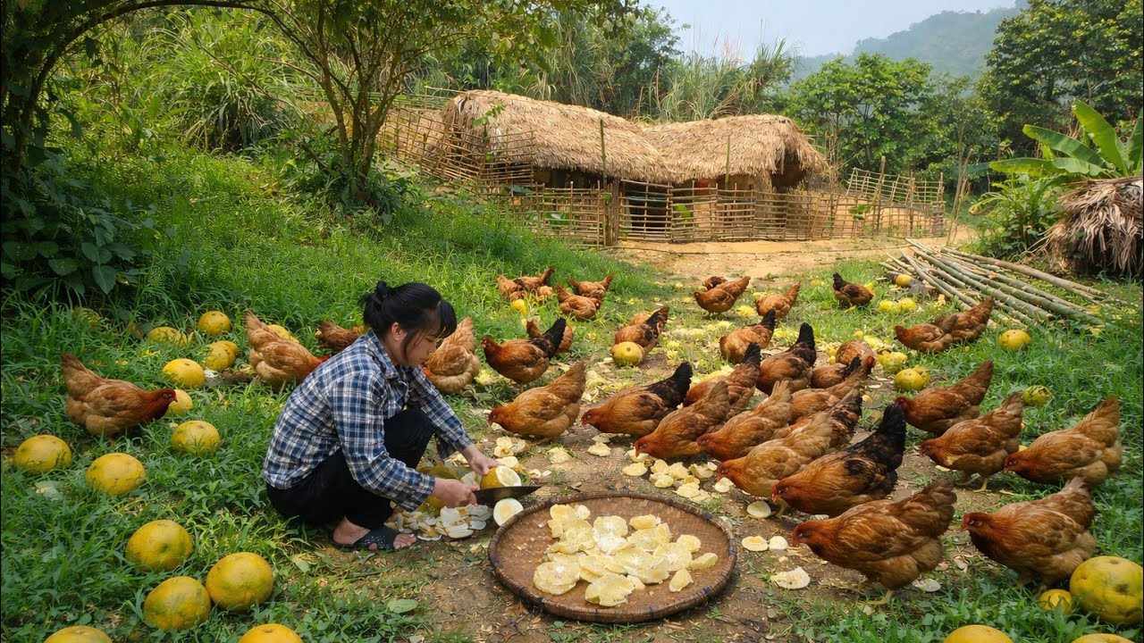 What Types of Plants Does a Single Mother Use to Renovate Her House?