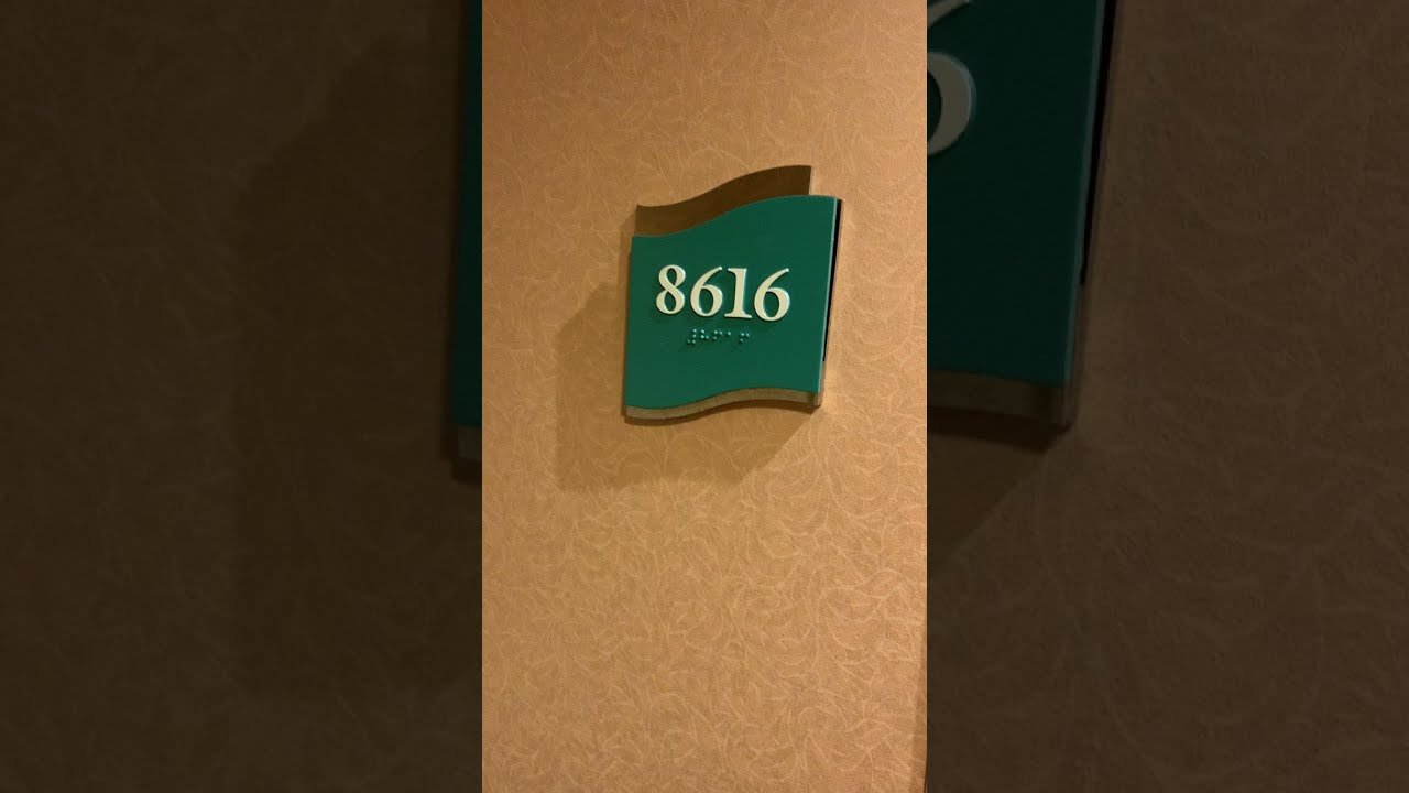 Voyager of the Seas - Cabin 8616 - Video 1