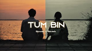 Download lagu Tum Bin (তুম বিন) - Slowed   Reverb | Tanveer Evan | Memories Are Forever | Bangla Lofi Song mp3