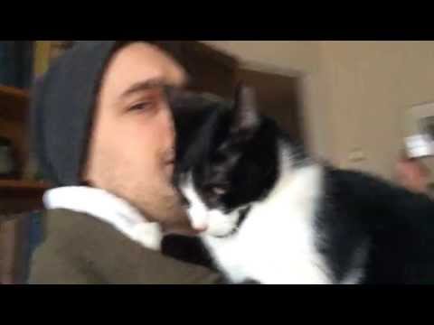 Nisa Cat Gives Face Licks