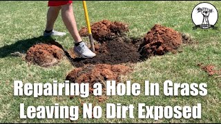 The Best Way to Fill a Hole in Grass - No Dirt Showing