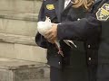 holub mieru v rusku (Pyrotechnick) - Známka: 2, váha: obrovská