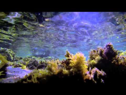 Jordeaux - Meraki (EP) [2015]