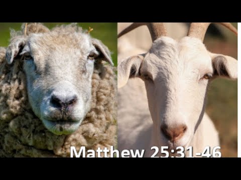 “The sheep on his right hand, but the goats on the left.” True meaning of Matt. 25:31-46
