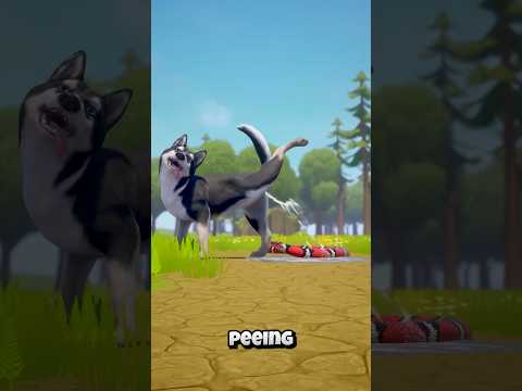 Snake Bit the Wrong Place