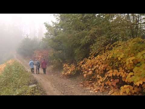A Szatmárnémeti Természetjárókkal a  Fernezelyi Bodi-tónál HD
