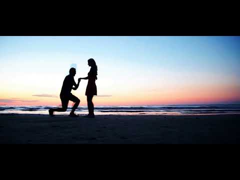 Like The Sunshine | Ashley Benjamin