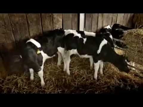 Summer's Here Ep1 prt2