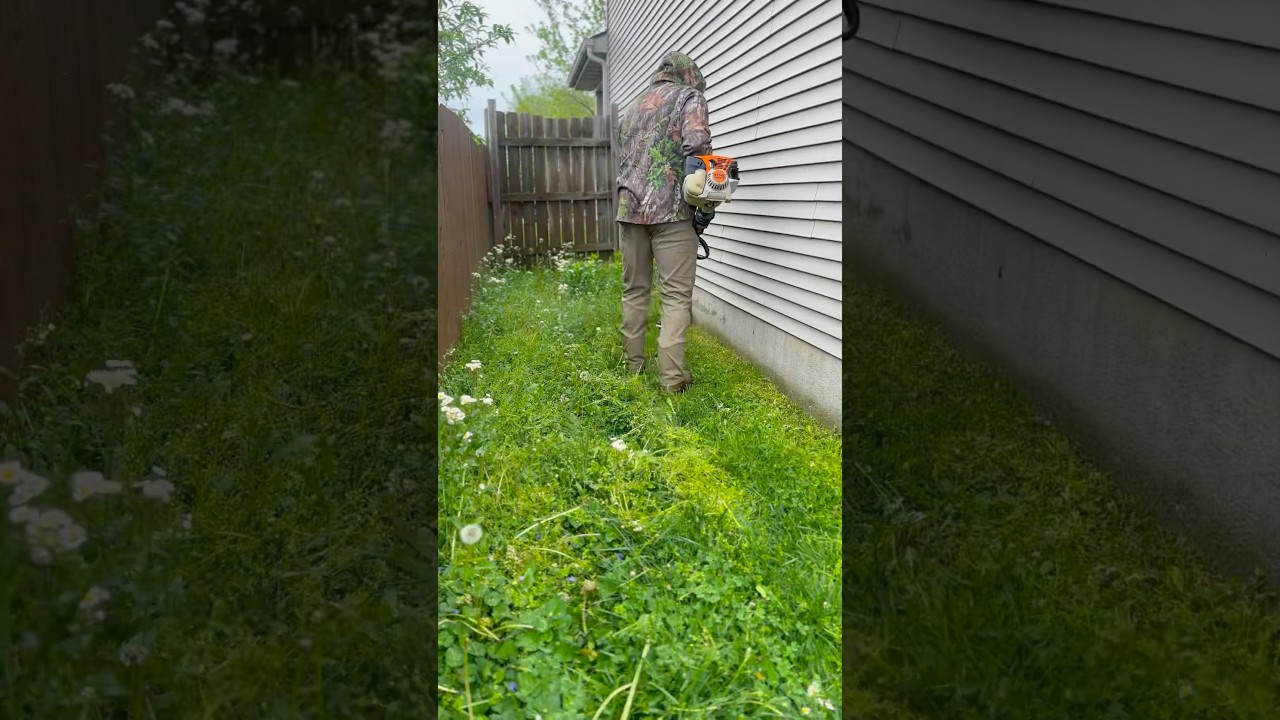 Hand me my weedeater… #greenindustry #landscaping #lawncare #satisfying #mowing #overgrown #stihl
