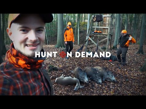 🍂 4 Drückjagden quer durch Deutschland – Jagdkrone Hunt on Demand Trailer