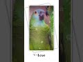 Whatsappstatus Tamil Karthik Pen Kiliye Pen Kiliye Song What S App Status Tamil