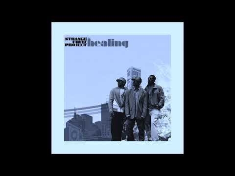 11 - strange fruit project - rise ft  little brother