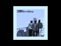 11 - strange fruit project - rise ft  little brother