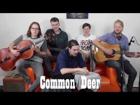 Band on a Couch - Common Deer