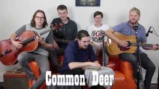 Band on a Couch - Common Deer