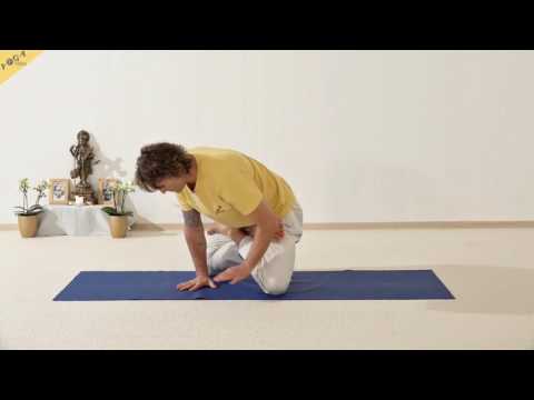 Lotus-Krähe - Kakasana - 84 Hauptasanas - Teil 64