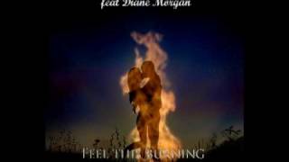 PROMO -- Feel This Burning (feat Diane Morgan) Rafa Ventura remix ----