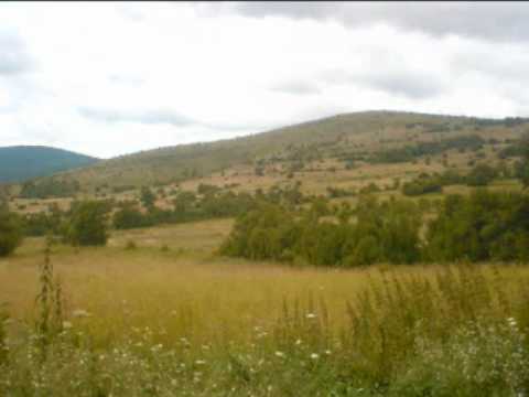 GRUPA ZAVIČAJ - LELA