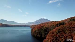紅葉シーズンの野尻湖をドローン撮影-Nagano,Japan