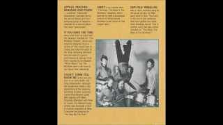 The Monkees Missing Links - I Don't Think You Know Me