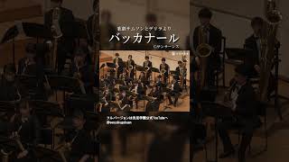Download lagu 歌劇 サムソンとデリラ より バッカナール mp3