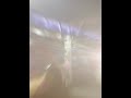 Voda Voda Voda Whatsapp Status