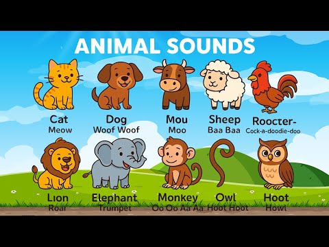 Animal Sounds