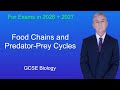 GCSE Biology Revision Food Chains And Predator Prey Cycles