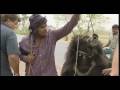 Dancing Bears On The Streets Of Agra